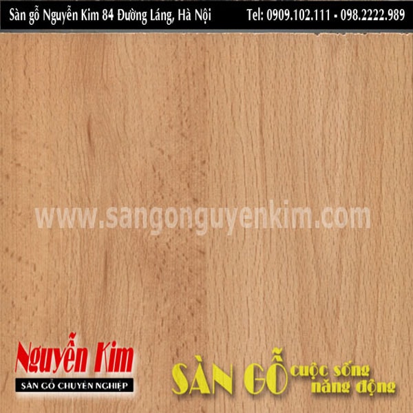 Sàn gỗ JANMI B21 8,0mm