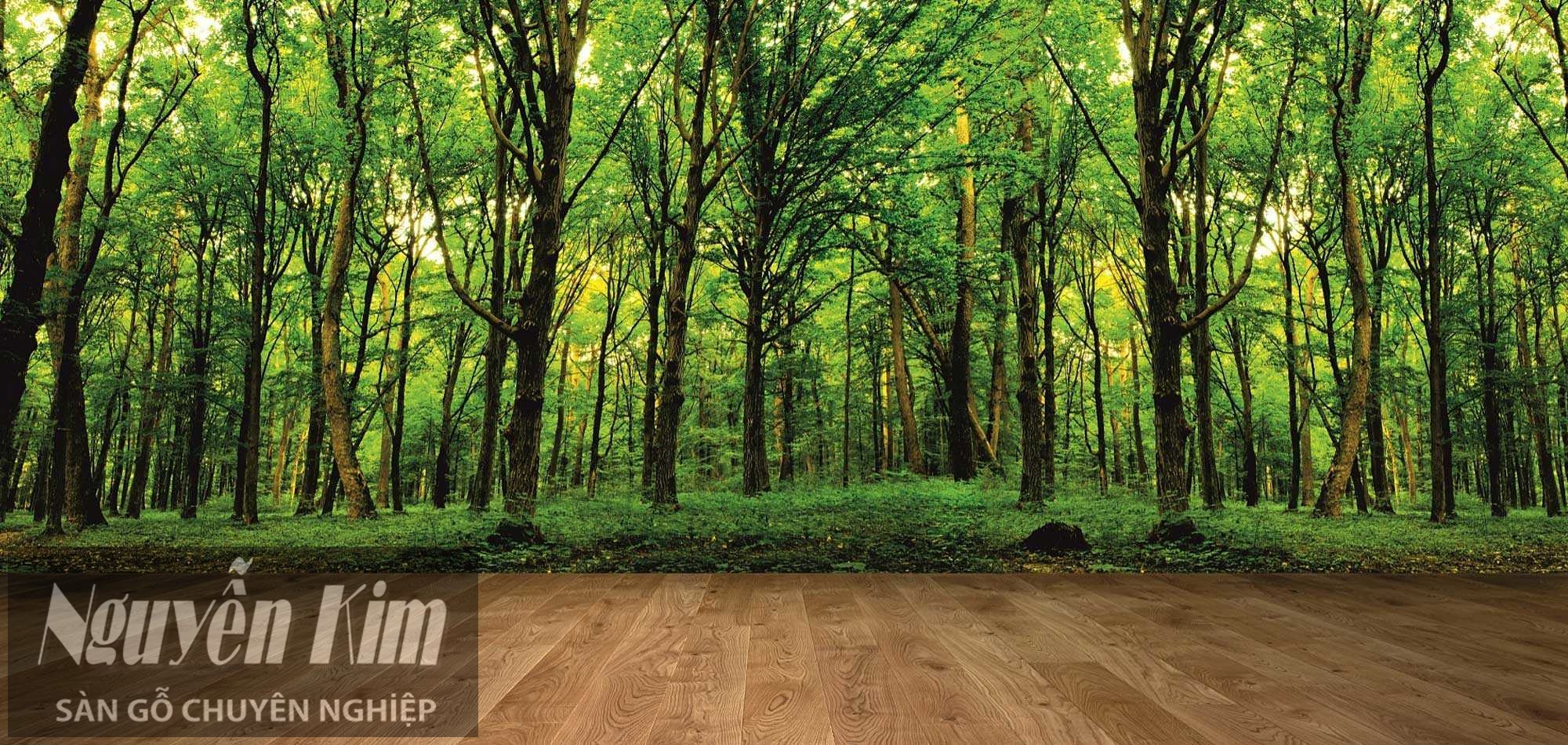 sàn gỗ giúp không gian nhà gần gũi với thiên nhiên hơn