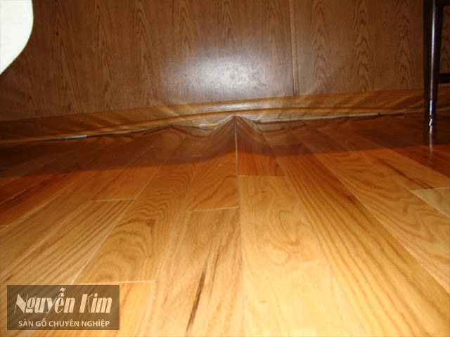 sàn gỗ kém chất lượng