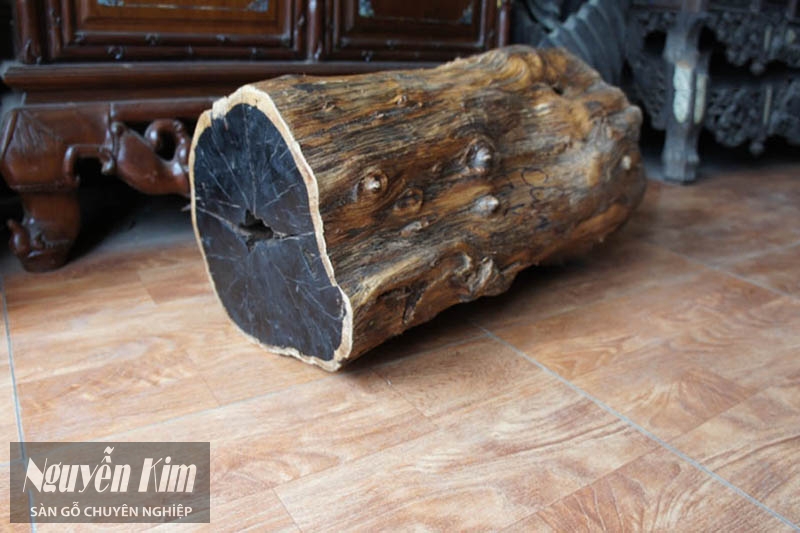 các loại gỗ tự nhiên được sử dụng phổ biến